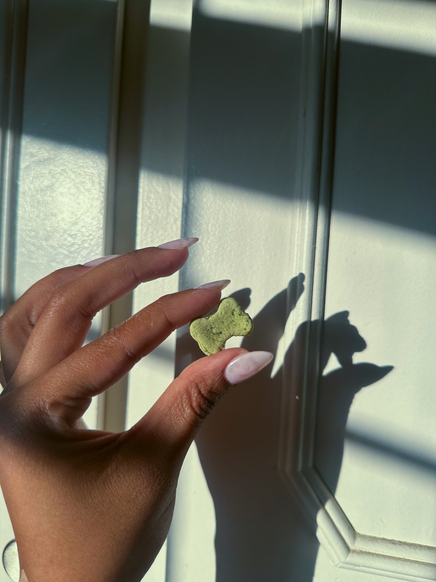 Bodie's Minty Bites