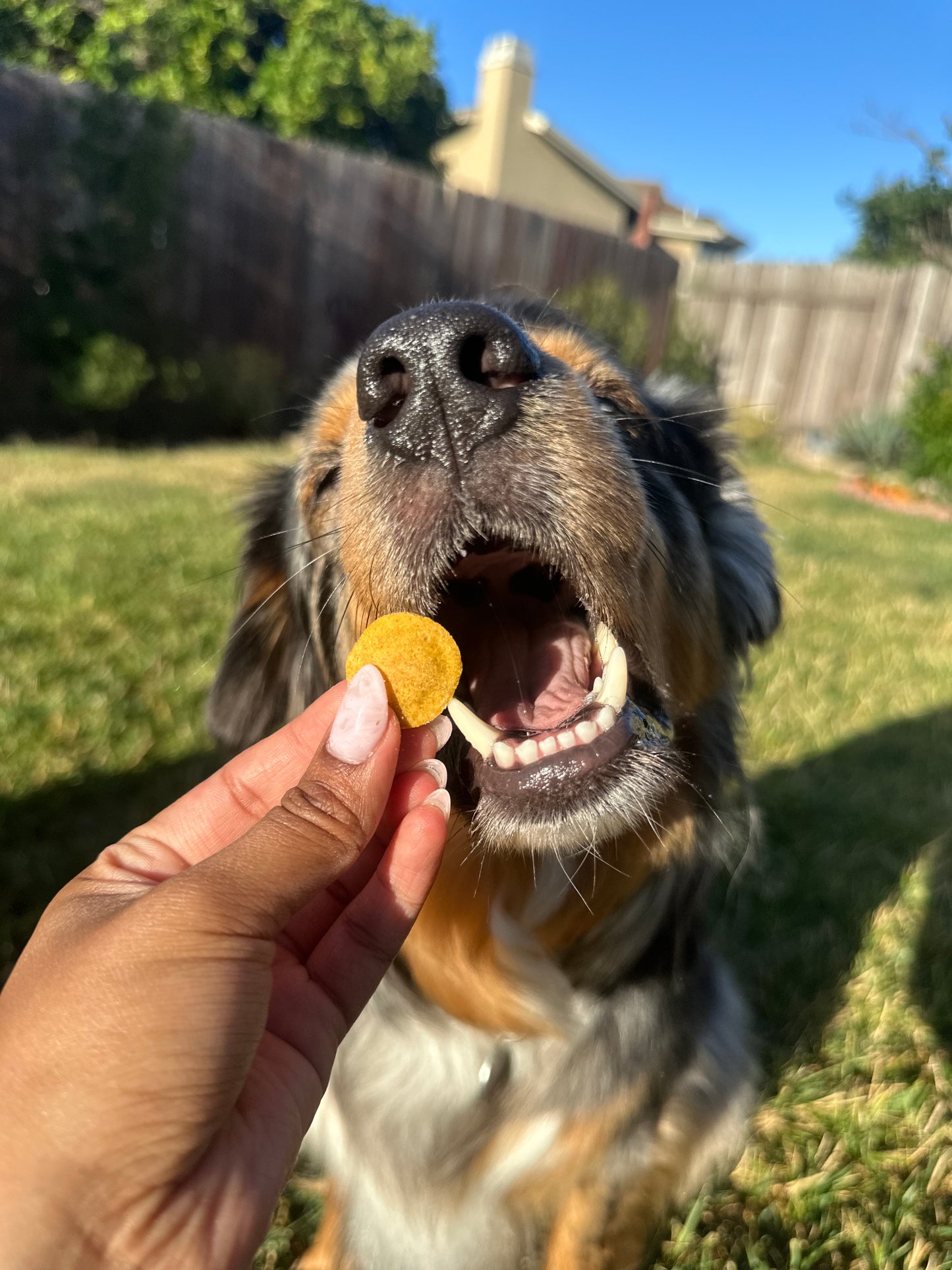 Bodie's PB Wafers