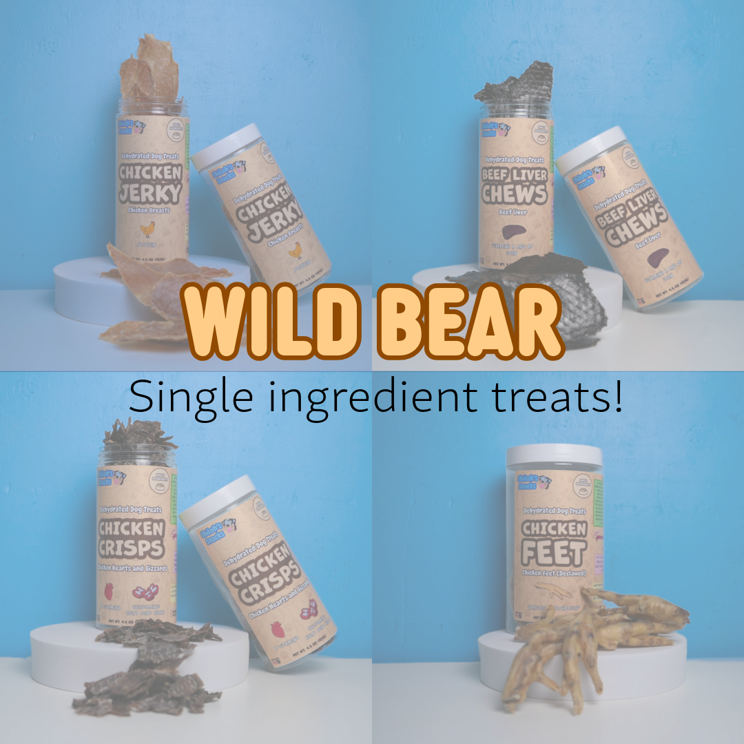 Wild Bear