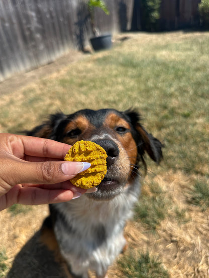 Bodie's Pup-kin Waffles