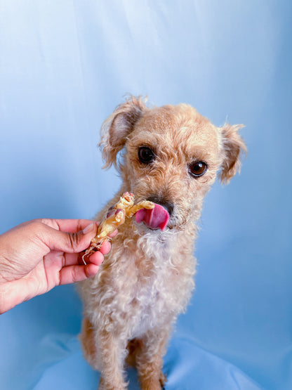 Shiloh's Chicken Feet