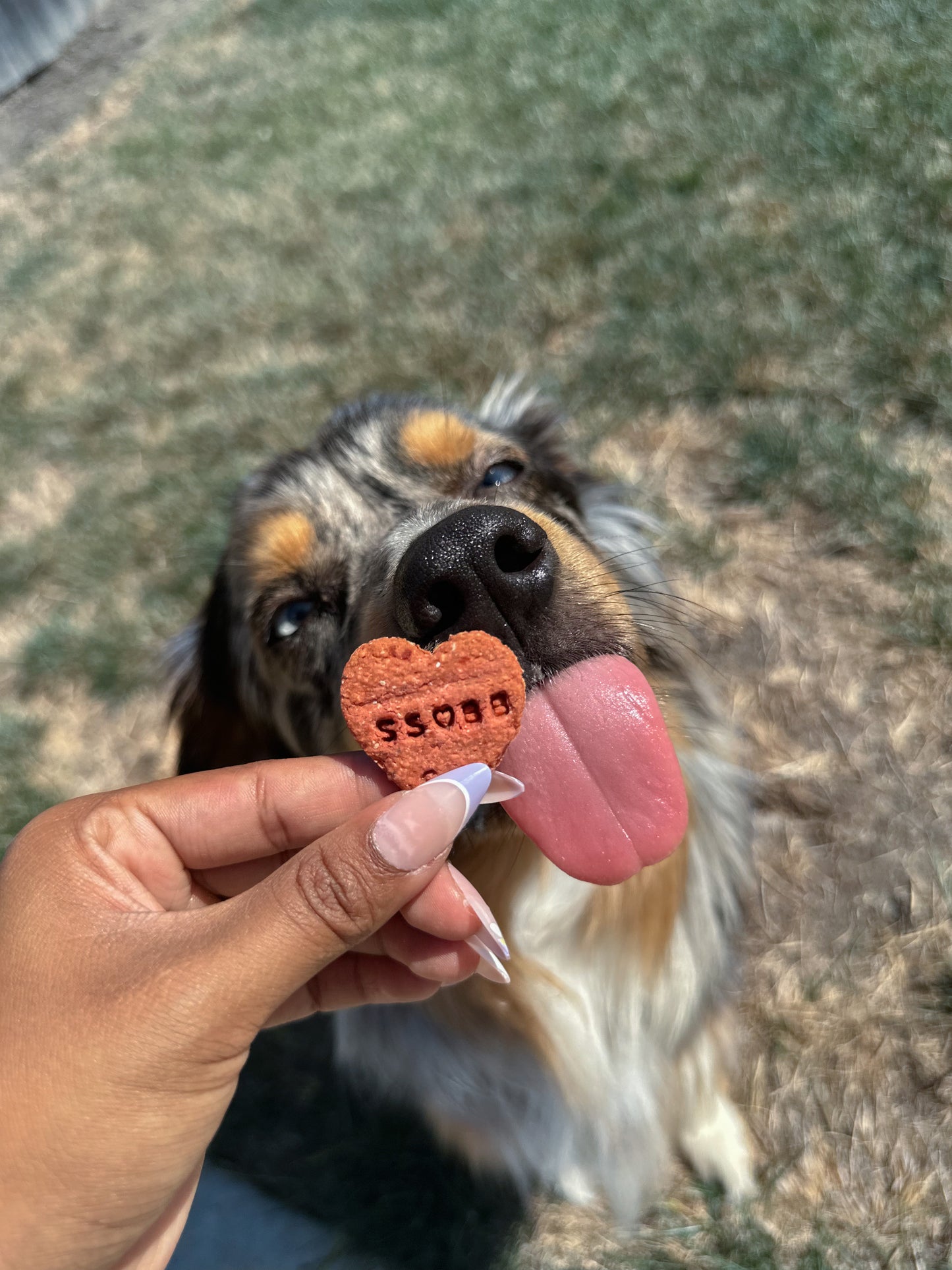 Bodie's Heart Beets