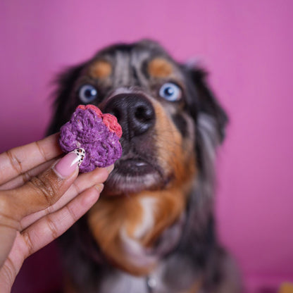 Kiara's Flower Power Cookies