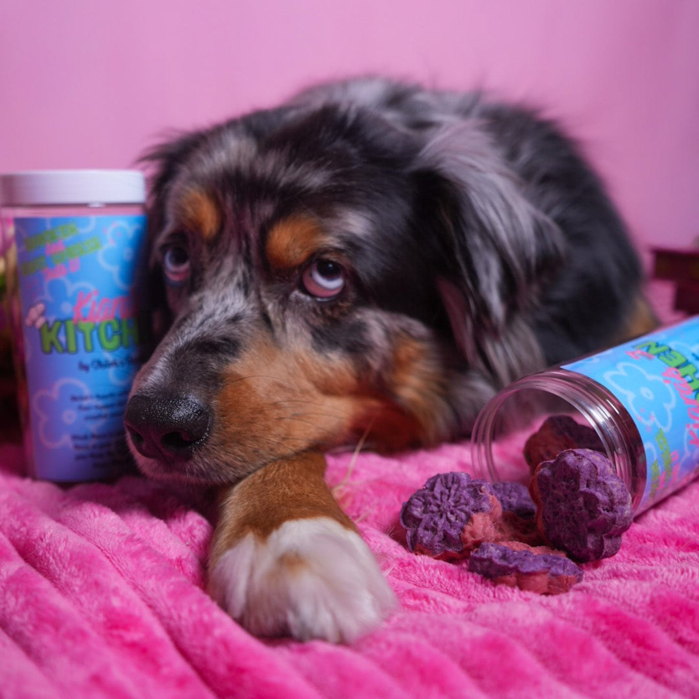 Kiara's Flower Power Cookies