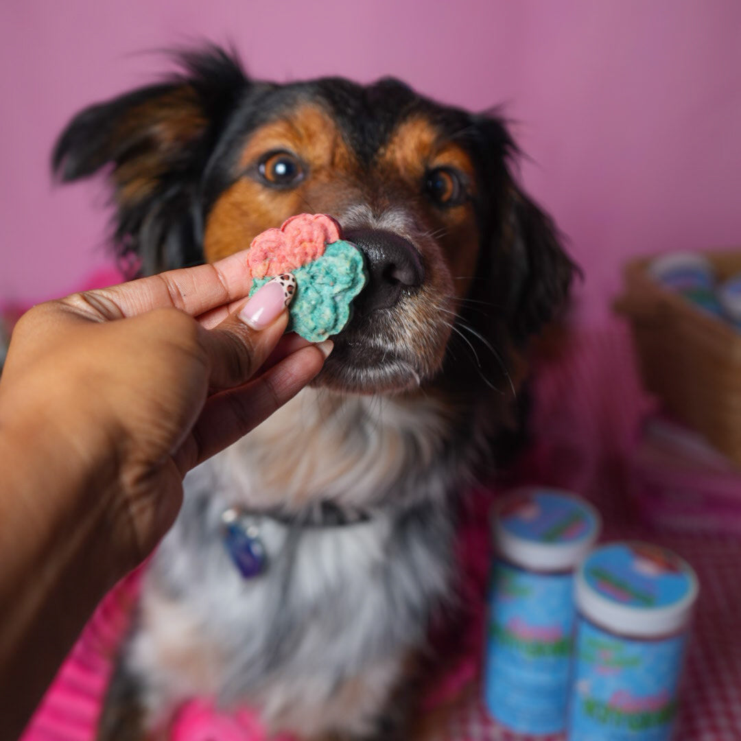 Kiara's Flower Power Cookies