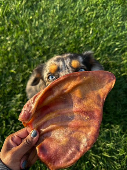 Shiloh's Pig Ears