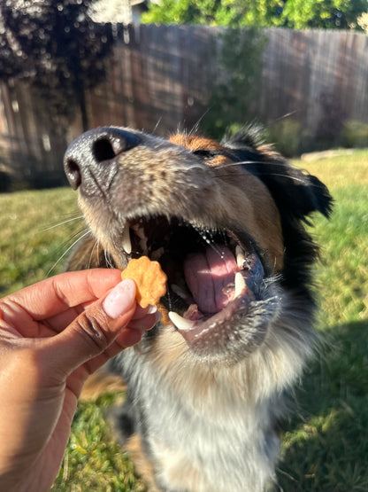 Bodie's Cheddar Crumbles