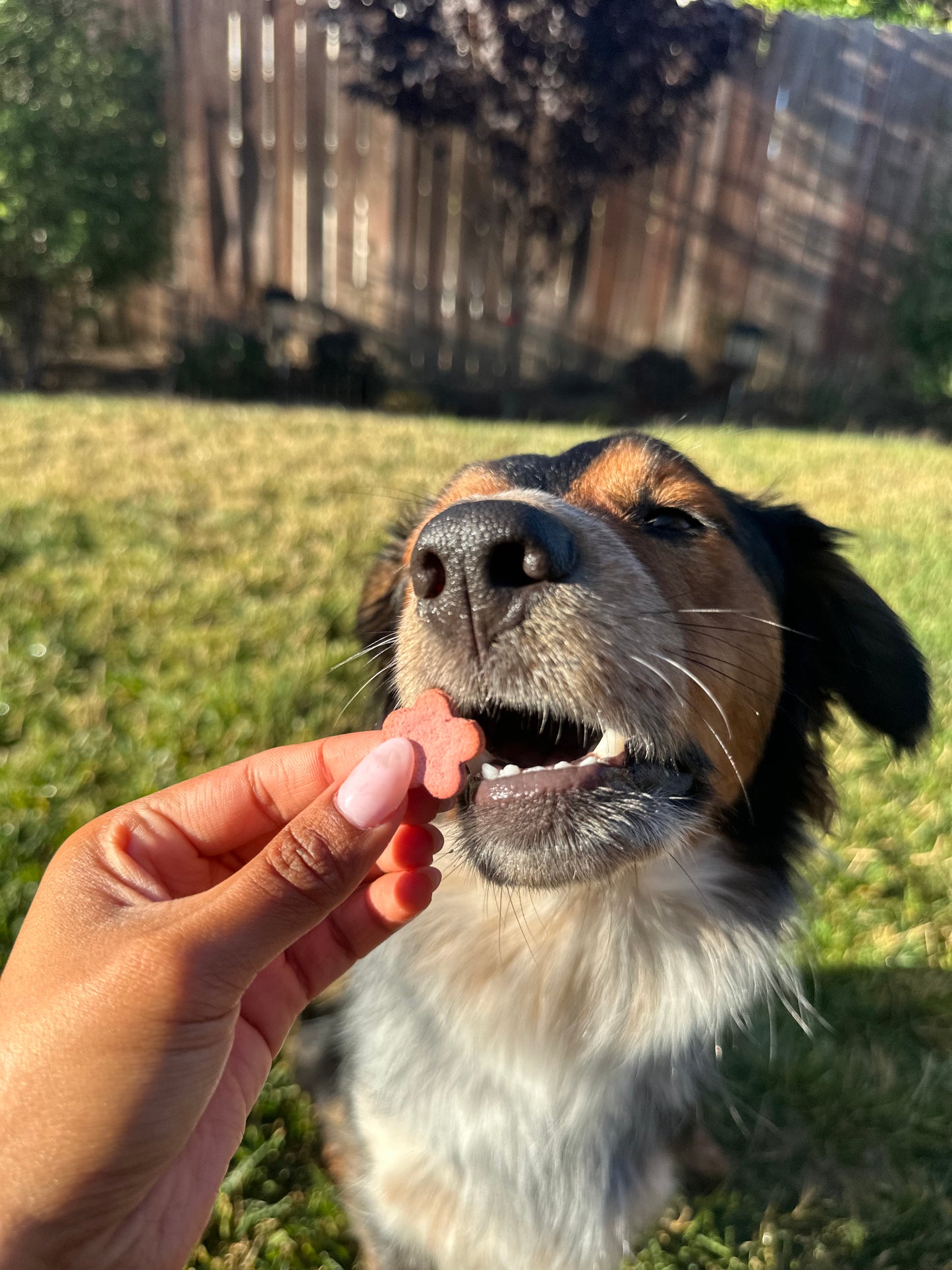 Bodie's Snack Mix