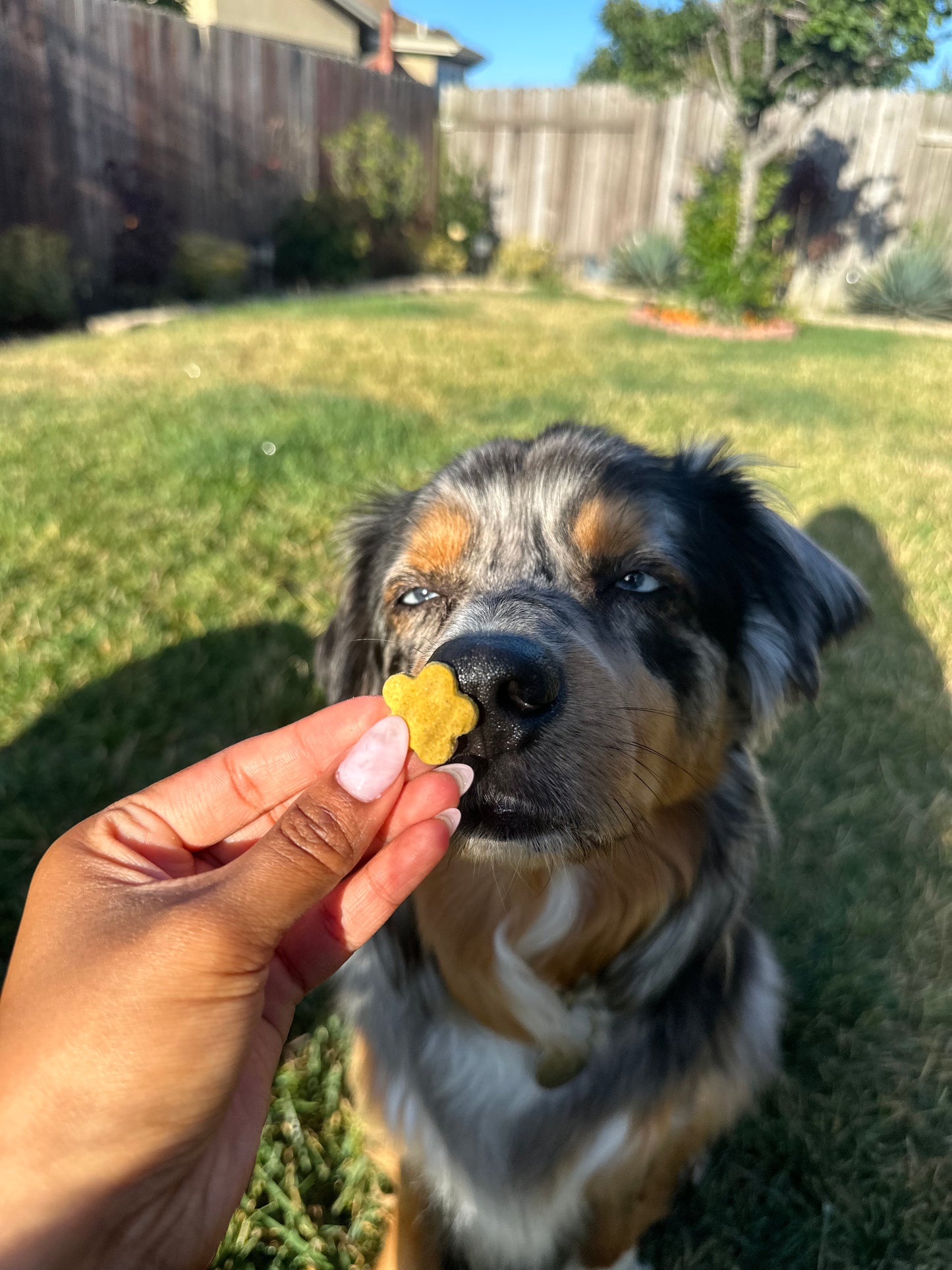 Bodie's Snack Mix