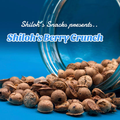 Shiloh’s Berry Crunch