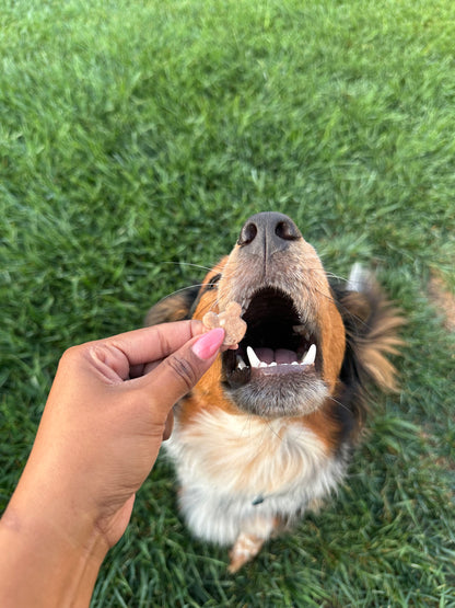 Bodie's Jelly Bearies