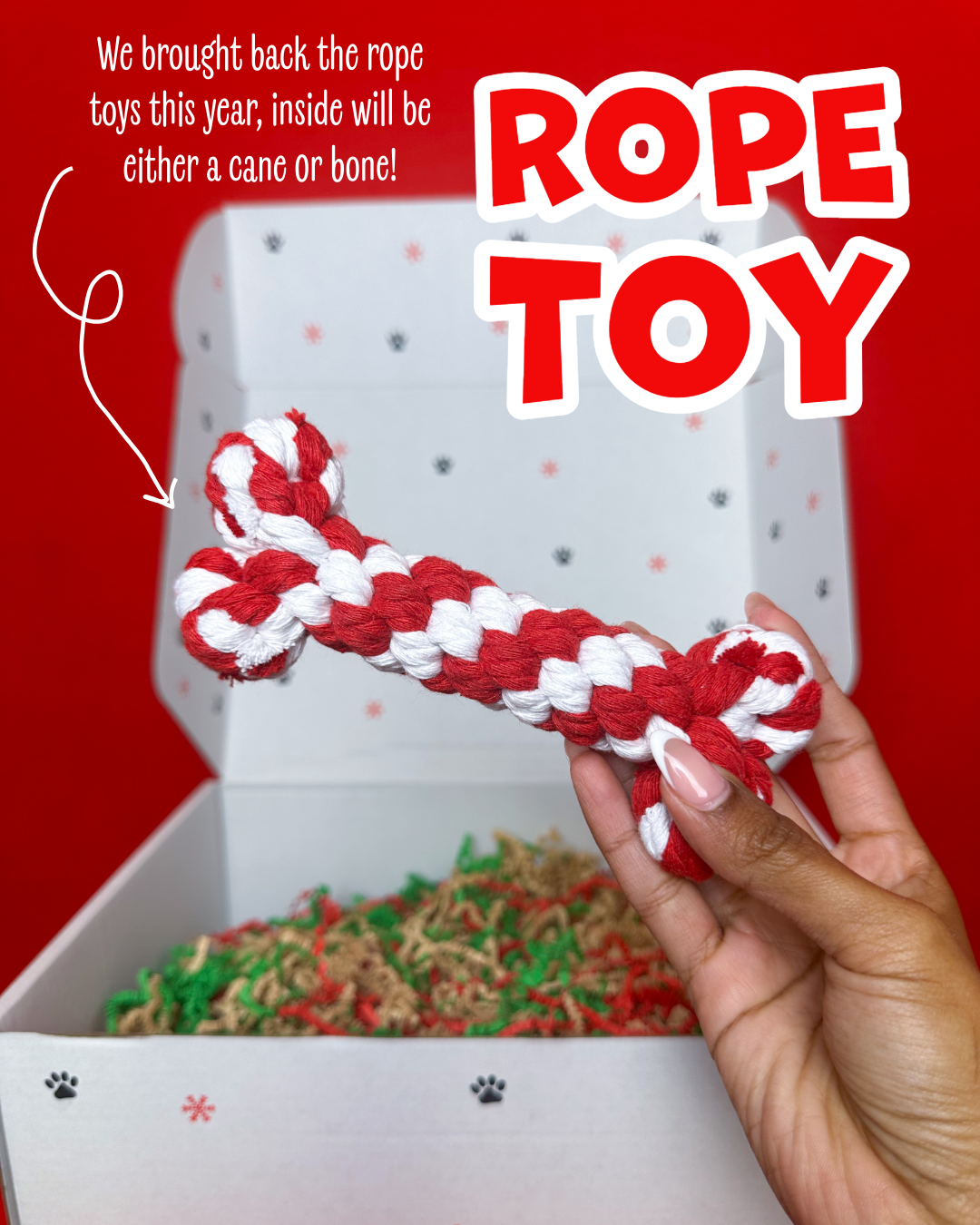 Snackmas Box (Pre-Order!)