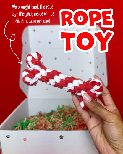 Snackmas Box (Pre-Order!)