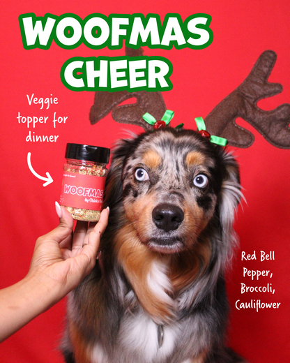 Snackmas Box (Pre-Order!)