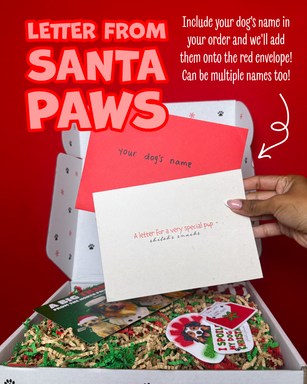 Snackmas Box (Pre-Order!)