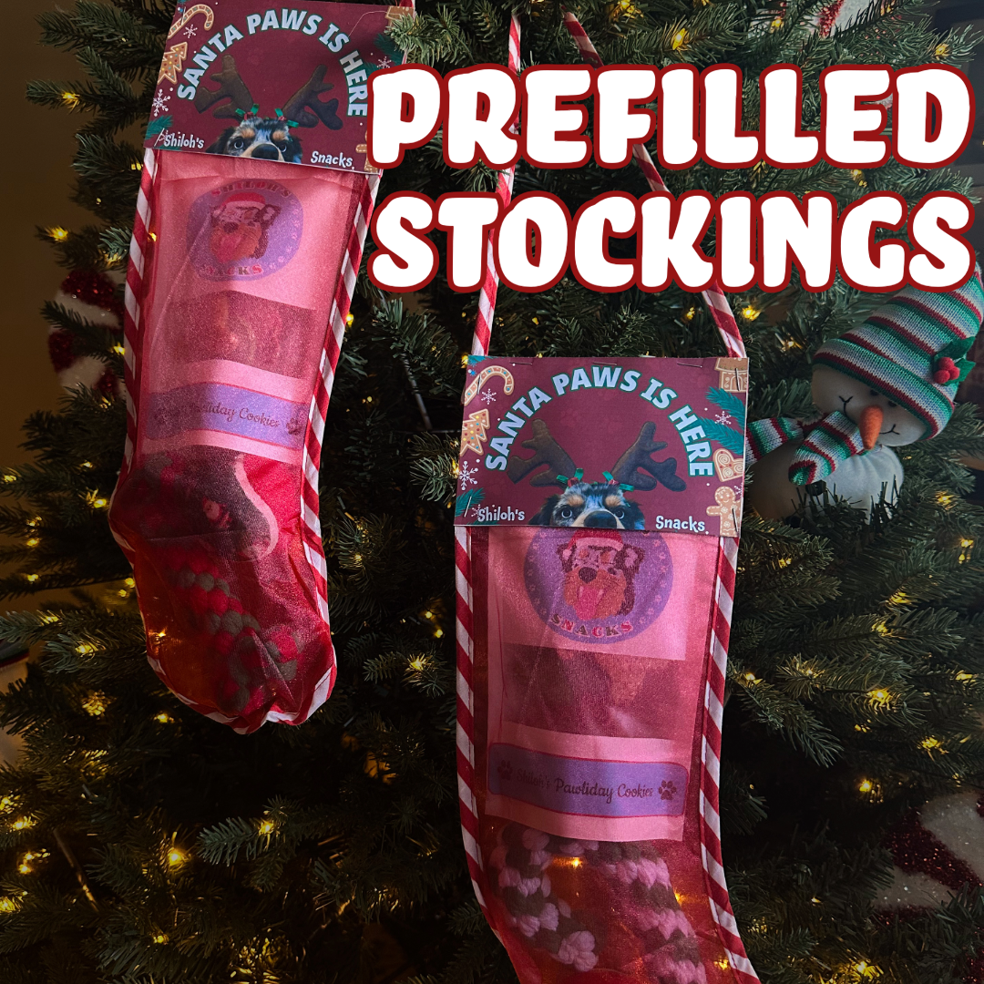 Shiloh's Prefilled Stockings