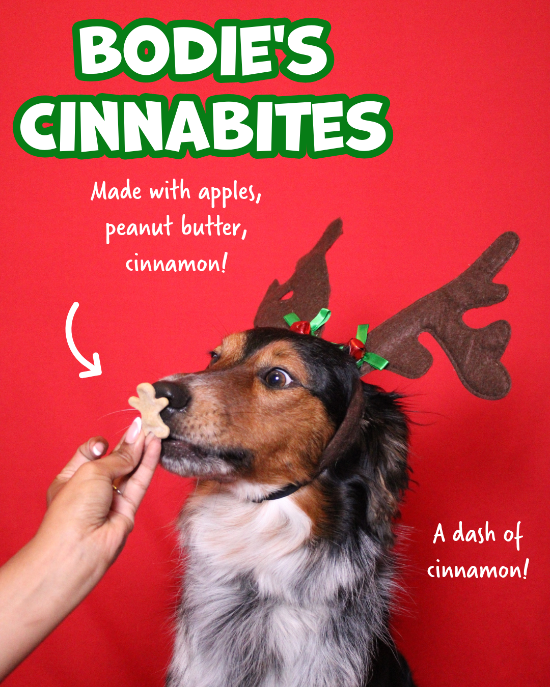 Snackmas Box (Pre-Order!)