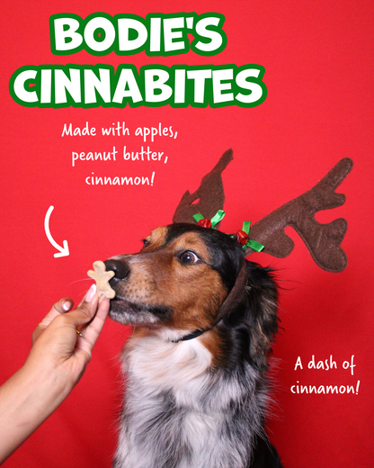 Snackmas Box (Pre-Order!)