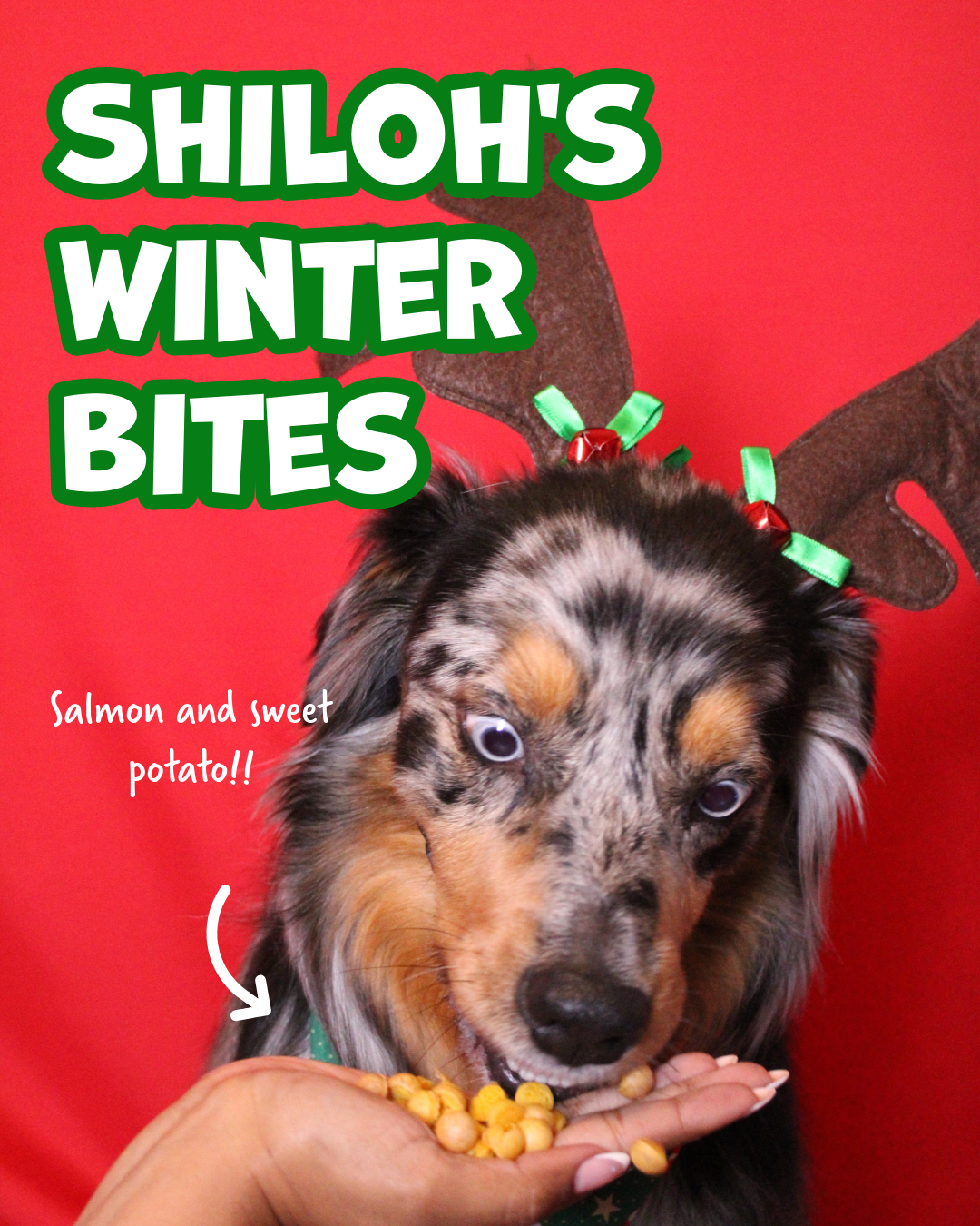 Snackmas Box (Pre-Order!)