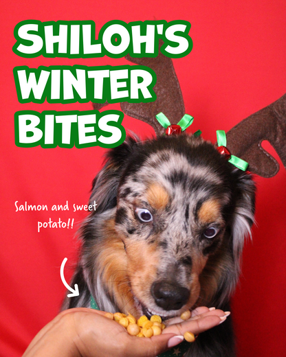 Snackmas Box (Pre-Order!)